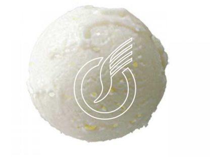 Champagnersorbet 1,5 l