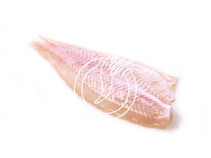Filets de plie sans peau "MSC"