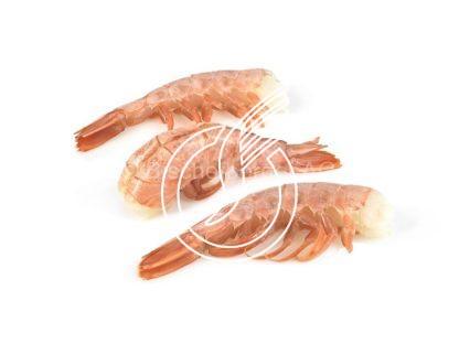 Queues de crevettes 08/12  avec carapaces HLSO