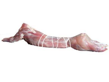 Lapin entier sans tête