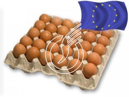 Oeufs, importés moyens 53-63 gr ponte au sol