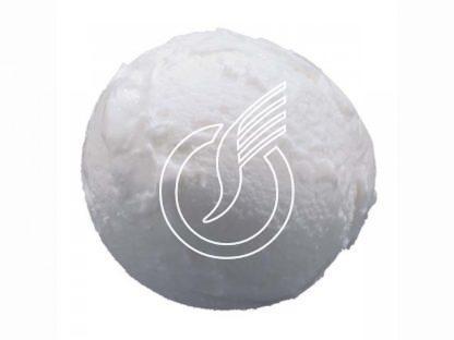 Glace artisanale noix de coco 2.5 lts