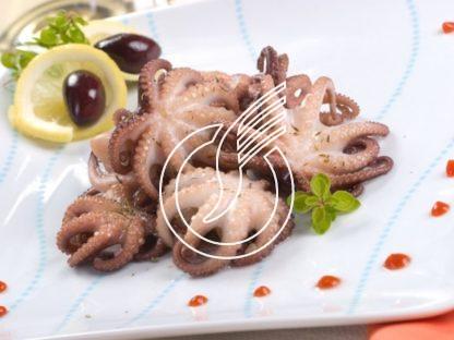 Moscardini (Mini-Pulpo)
