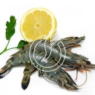 Crevettes entières 08/12 géantes