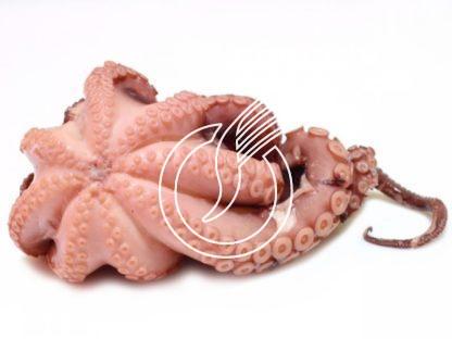 Pulpo, ganz, geputzt