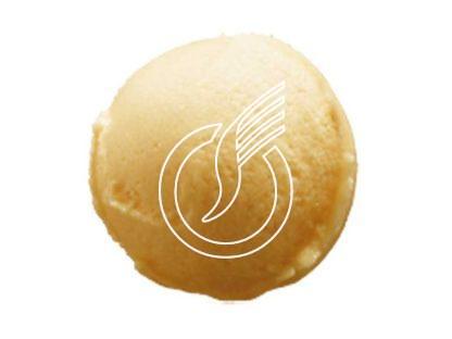 Sorbet artisanal fruits des tropiques 2.5 lts
