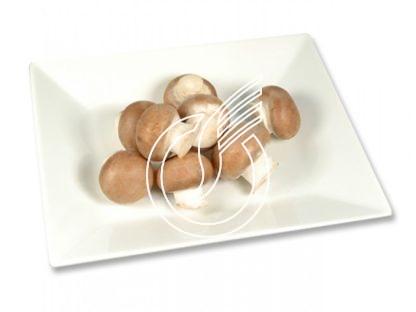 Champignons de Paris "braun" "GlobalGap"