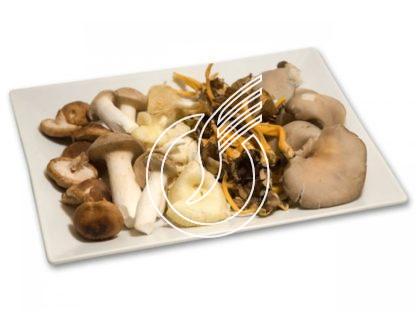 Mélange de champignons frais, 5 sortes sans chanterelles