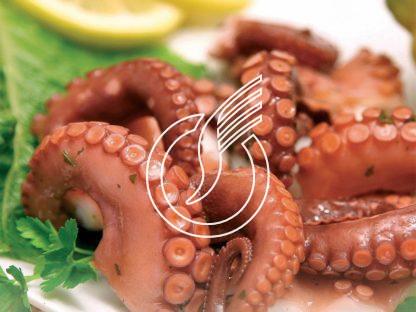 Pulpo in Öl