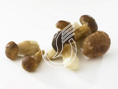 Bolets entiers  "Standard"