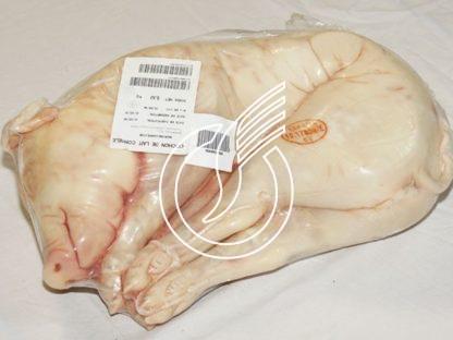 Cochon de lait, entier petit