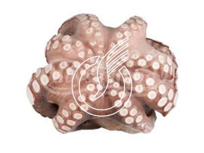 Pulpo Flower