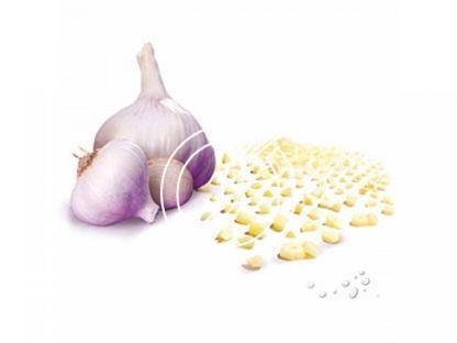 Knoblauch im Würfeln
