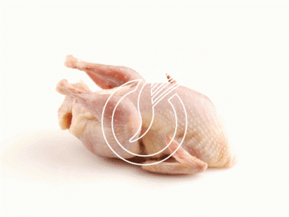 Hähnchen Grill 450-500 g