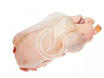 Canard entier prêt au grill