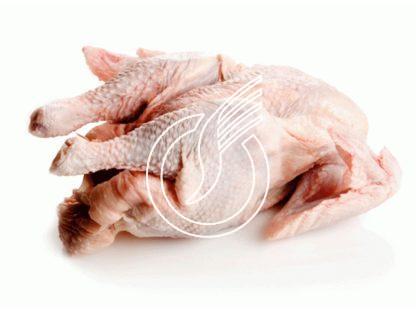 Suppenhuhn