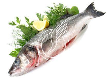 Loup de mer entier, vidé, écaillé 400 - 600 gr