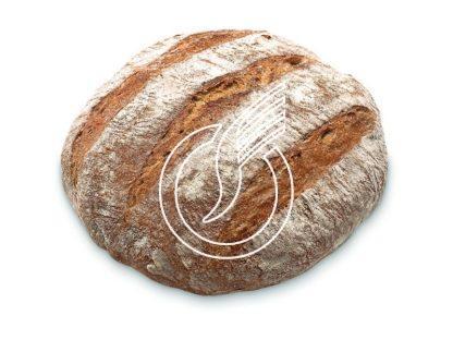 Romer's Pane Maggia