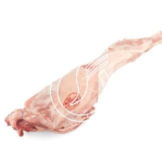 Cabri entier sans tête, sans peau France