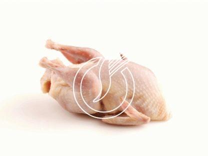Coquelet vrac 600-650 gr