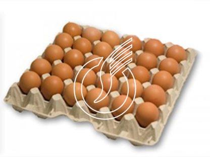 Eier BIO aus dem Wallis, + 53 g