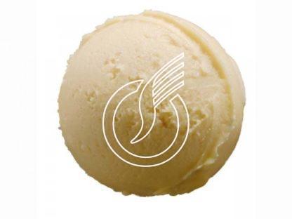 Sorbet artisanal mangue 2.5 lts