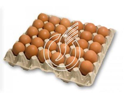 Eier, CH, Kl. Extra +68 g