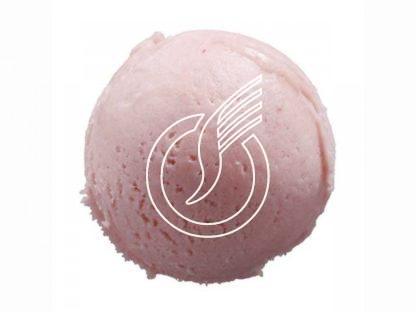 Sorbet artisanal rhubarbe 2.5 lts