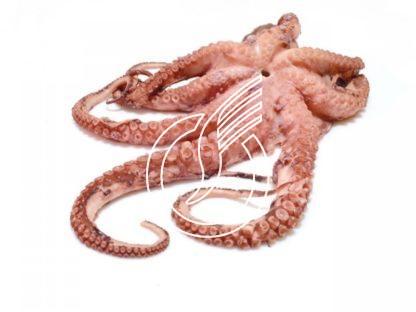 Pulpo, ganz, geputzt
