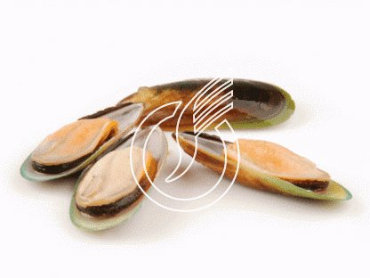 Grüne-Muscheln in halber Schale