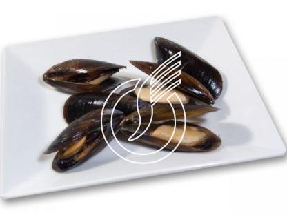 Muscheln mit Schale 40/60 gekocht