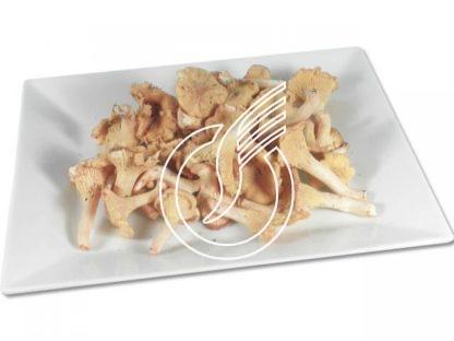 Chanterelles fraîches