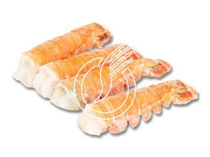 Queues de Langoustes 12/14 oz