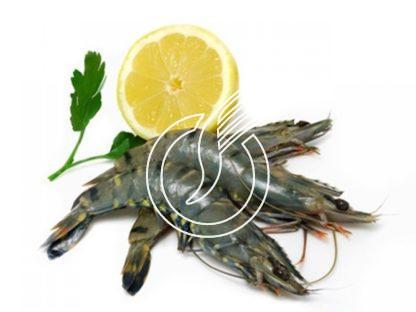 Crevettes entières 20/30 "Premium"