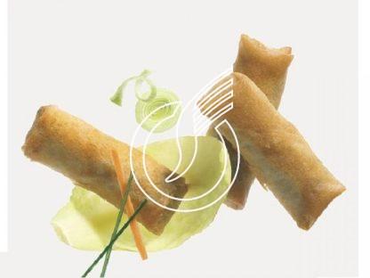 Vegetarische Frühlingsrollen