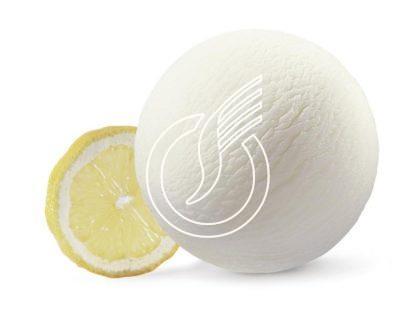 Sorbet Citron Classico 4 lts I Gelati