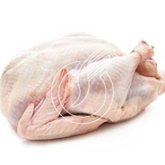 Dinde PAC sous film 2 à 3.5 kg