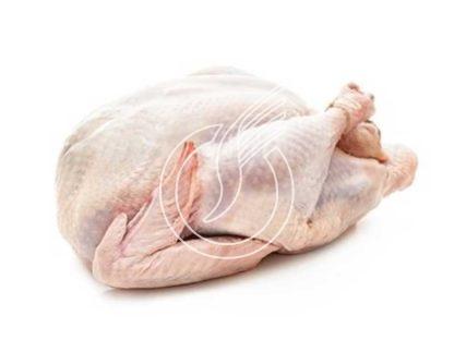 Dinde PAC sous film 2 à 3.5 kg