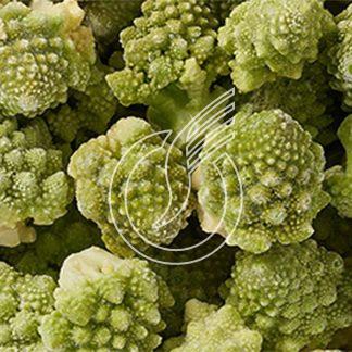 Romanesco 20/40 Ditzler "Suisse Garantie"