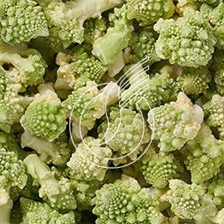 Rosettes de romanesco "Suisse Garantie"