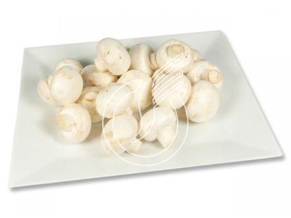 Champignon Paris Blanc Bio Suisse