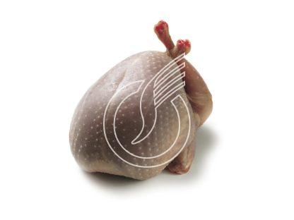 Caille farcie au foie gras