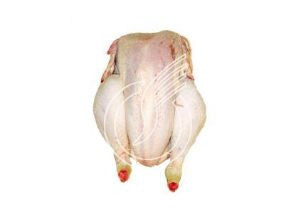 Coq PAC