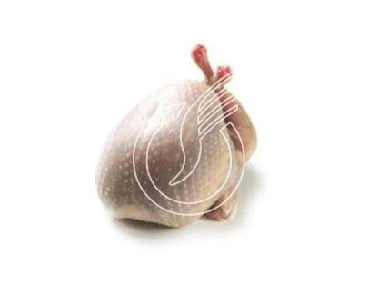 Caille farcie au foie gras