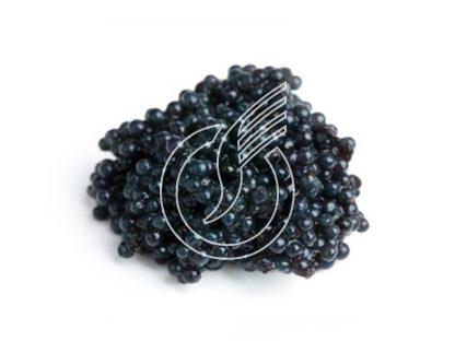 Caviar d'élevage Italie ou Allemagne