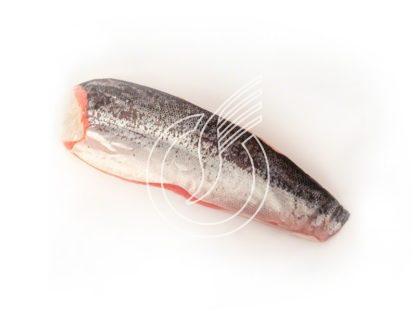 Lachs-Filet mit Haut Schweizer