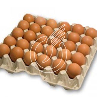 Oeufs, CH, cl. Extra +68 gr