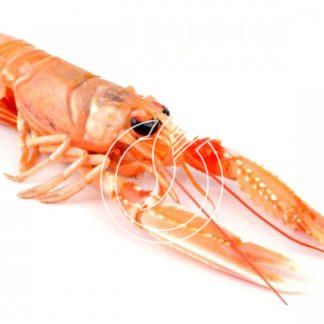 Langoustines entières 8/12