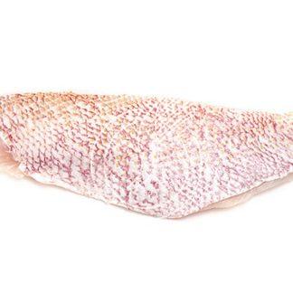 Filet Red snapper avec peau